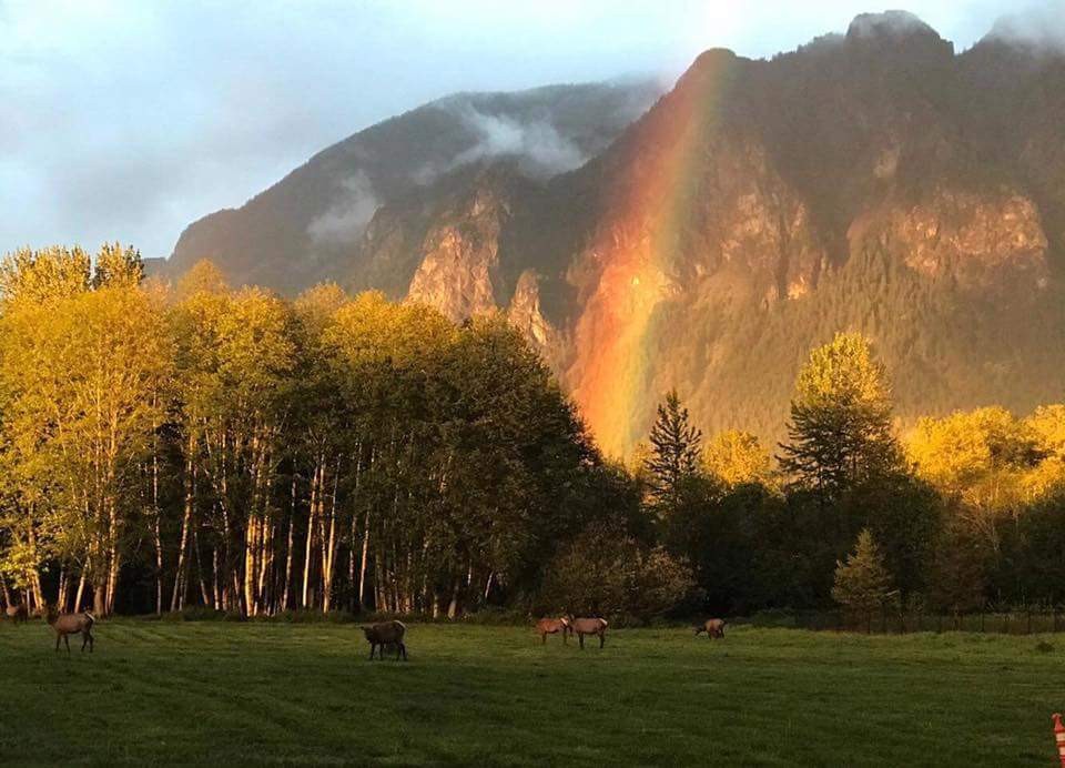 Rainbow and elk